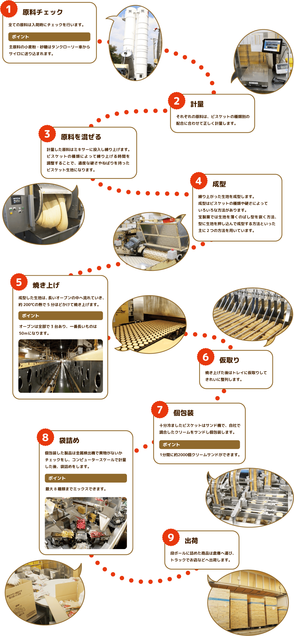 ビスケットができるまで