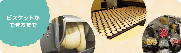 ビスケットができるまで