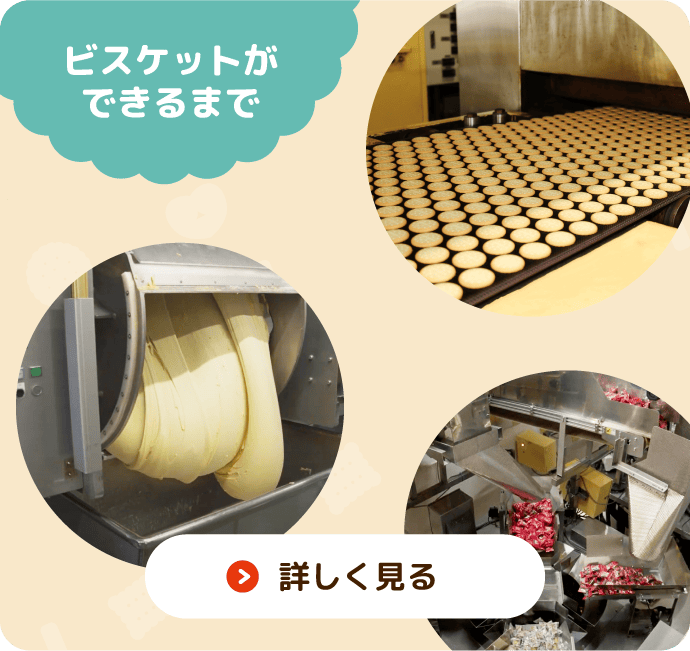 ビスケットができるまで