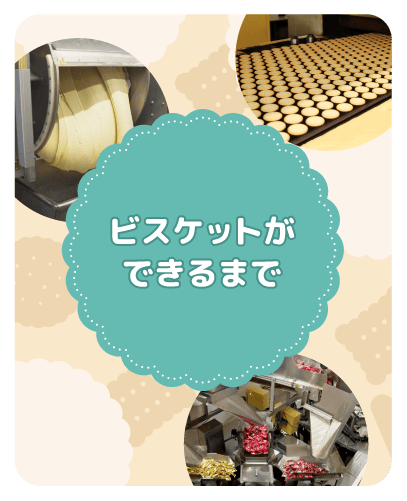 ビスケットができるまで